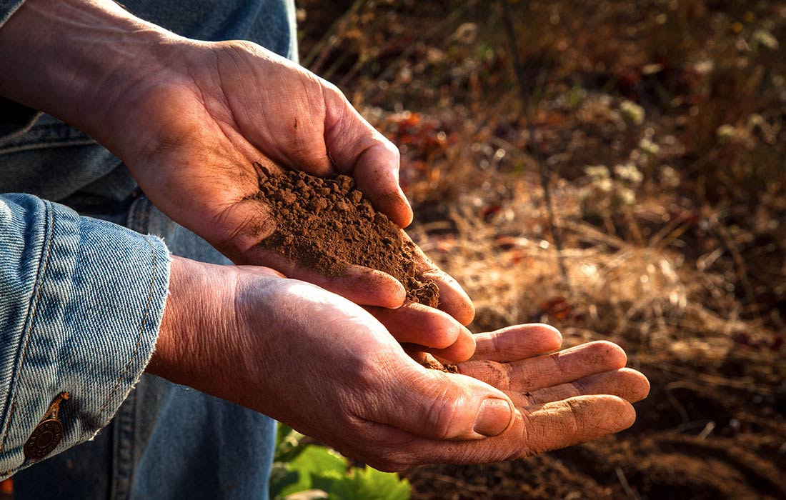 What is Terroir? Making Wine Ste. Michelle Wine Estates Wine Companion