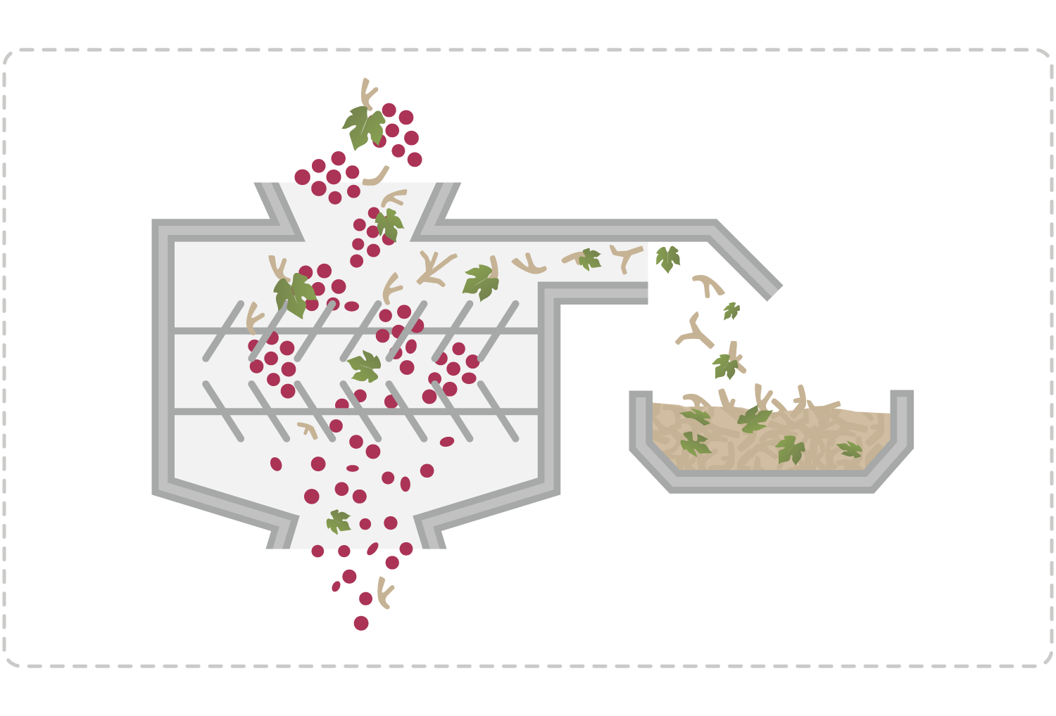 How Wine is Made Ste. Michelle Wine Estates Wine Companion