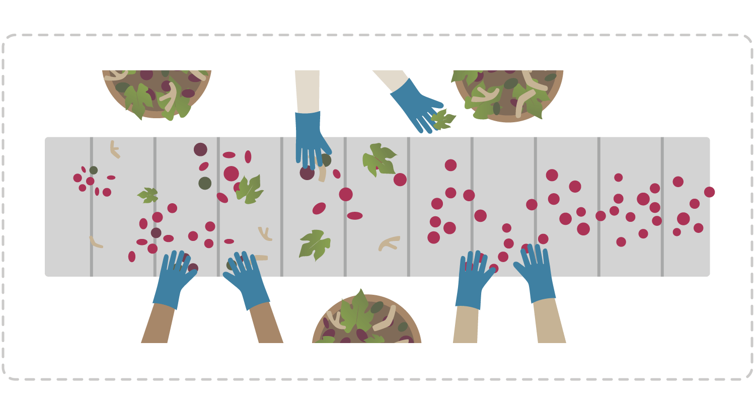 How Wine is Made Ste. Michelle Wine Estates Wine Companion