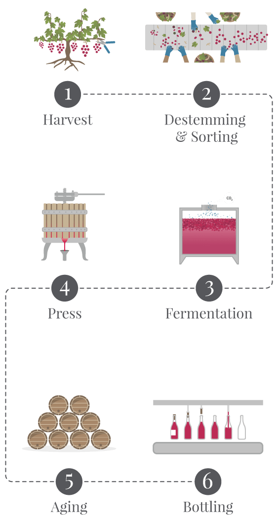 Entire Winemaking process